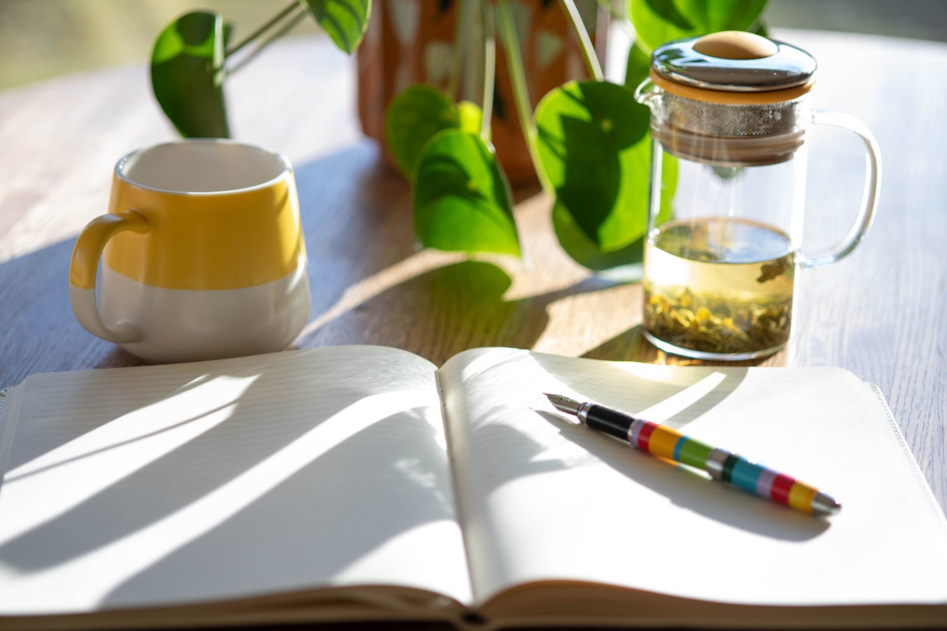 A picture of a tea mug, a diary with a colourful pen on top, a plunger with some tea in it, and a pot plant, all illuminated by sof morning light